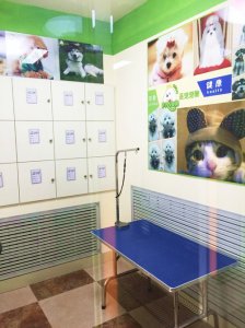 圣宠威海海韵华府宠物店美容区