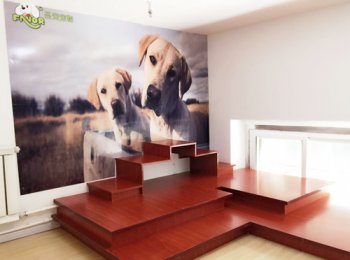 圣宠呼和浩特雅阁星城宠物店活动区