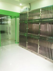 圣宠常州御景湾花园宠物店寄养活动区