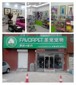 圣宠宠物沈阳音乐学院店、圣宠宠物沈阳紫郡城店并列当地第一店