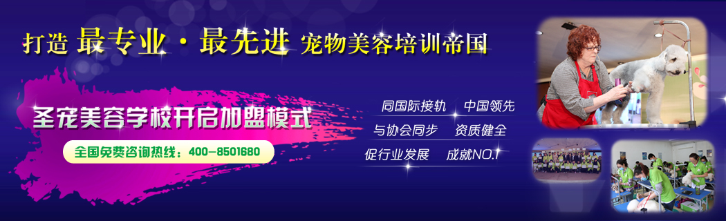 圣宠培训学校加盟