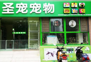 圣宠蚌埠固镇浍河路宠物连锁店