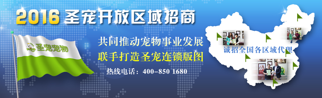 诚招区域加盟代理