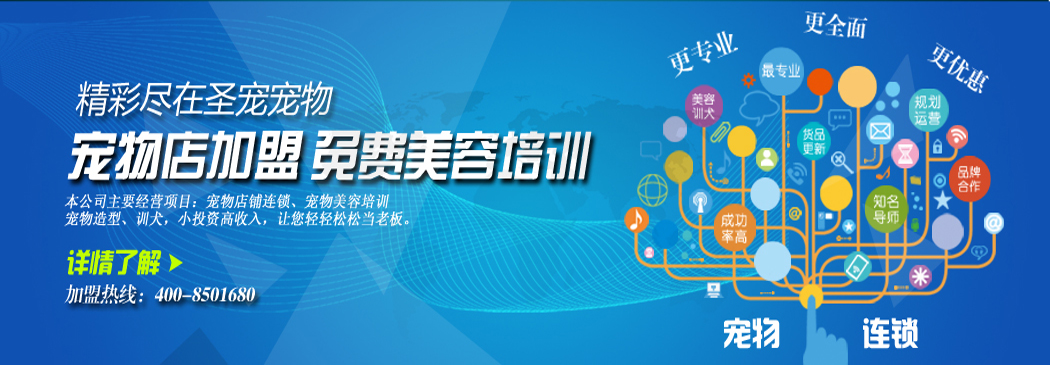 圣宠加盟白皮书（资料）