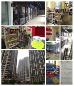 圣宠广州琶洲新村连锁店选址服务