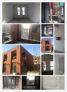 圣宠宠物辽宁沈阳小石城连锁店选址服务