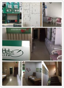 圣宠宠物绍兴阳光绿园连锁店选址服务