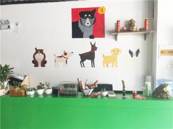 圣宠宠物郑州全威花园店新店开业，礼惠全城