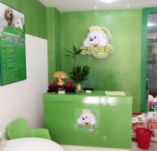 圣宠宠物重庆奥体中心店5.1盛惠，倾情巨献