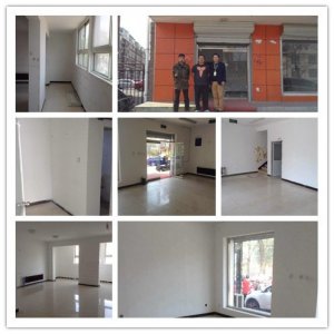 圣宠宠物延庆自莲路舜泽园连锁店选址服务