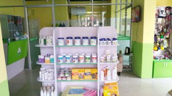 圣宠宠物沈阳铁西爱工北街店开业送好礼啦，双重好礼，惊喜圣宠！