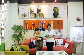广东深圳崔女士成功签约圣宠宠物连锁店