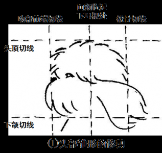 圣宠培训－西施犬的修剪造型