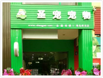 小伙开宠物店一年赚30万!