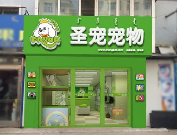 梦想和现实的距离到底有多远？