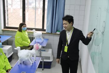 犬只结构及修剪技巧－宠物美容理论课