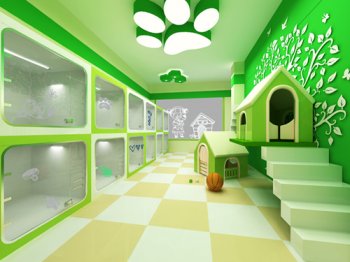 恭喜陈先生入驻圣宠·浙江圣宠连锁店新添1家