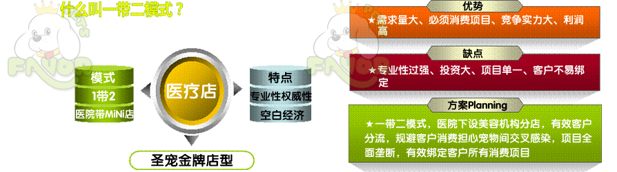 圣宠宠物加盟医疗店