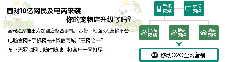 圣宠宠物加盟O2O