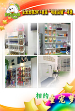 ʥ2014׽조ǵ̡ѡ-аݵ <A href=http://www.shengpet.com/a/xingyezixun/7942.html target=_blank>ϸչʾ</A>