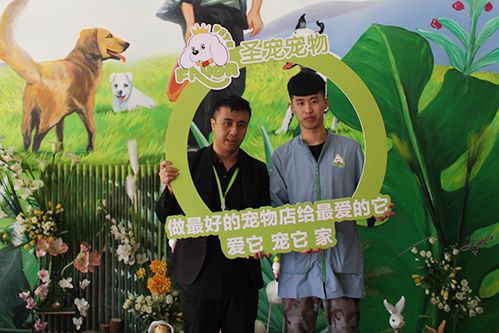 恭喜黄先生入驻圣宠·河北圣宠连锁店新添1家