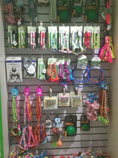 加盟店|门店促销 - 宠物店加盟|宠物连锁店|宠物