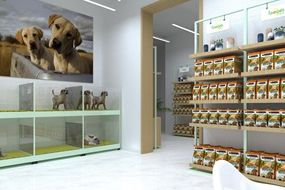 圣宠宠物南京天启花园店装修设计图