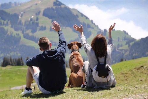 他，宠业传承者，带你一起转转欧洲的风土“宠”情。