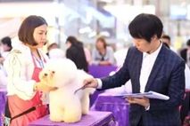 “圣宠+名师”：已经有超过10000名学生师从他们，有你吗?