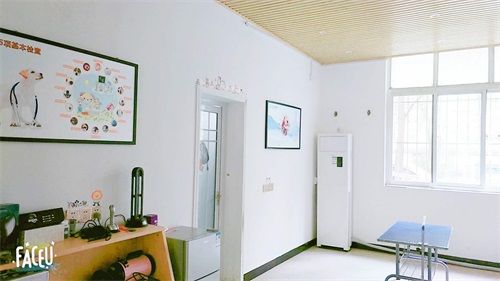 加盟店|门店促销 - 宠物店加盟|宠物连锁店|宠物