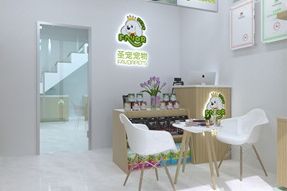 圣宠宠物丰台美域家园店装修设计图
