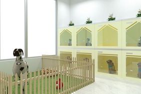 圣宠宠物珲春八一店装修设计图