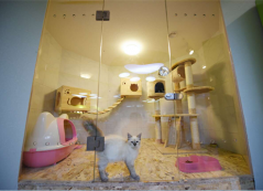 圣宠宠物（哈尔滨群力漫步巴黎店）