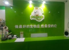 经理到店指导哈尔滨征仪路店