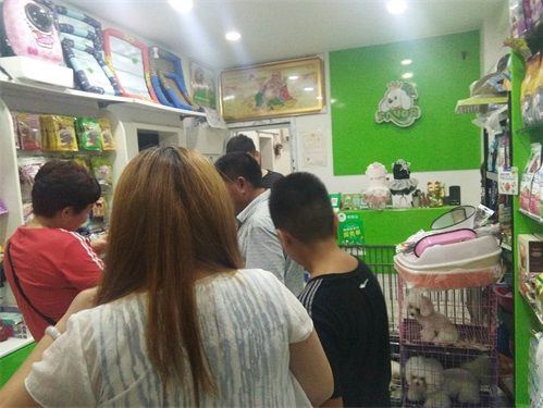 经理到店指导亳州利辛福强路店