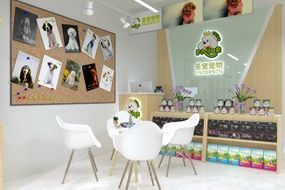 圣宠宠物济南市长清区恒大绿洲店装修设计图