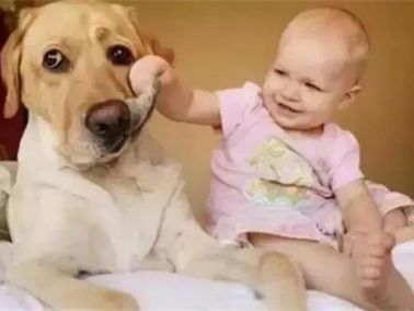 “你知道天使是什么样子吗？”