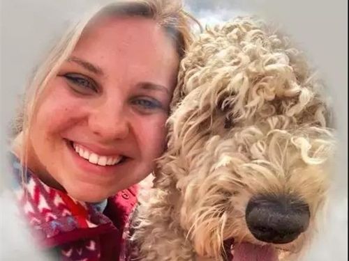 “狗真的是一种温柔又懂事的动物？”