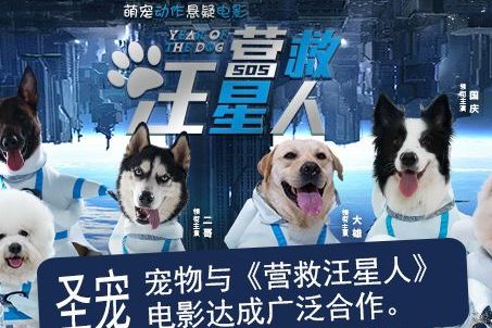 圣宠与《营救汪星人》达成战略合作...