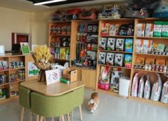 开宠物店去哪里进货？