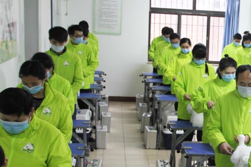 开宠物店需要学习什么？