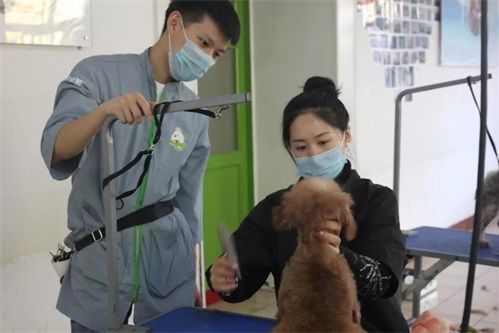  真犬实操、名师教学，圣宠是认真的！