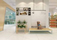 成功的人是因为相信才看见