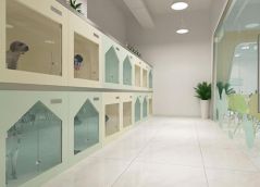 加盟宠物店多少钱？