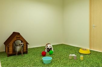 圣宠宠物福建百捷学府店装修设计图