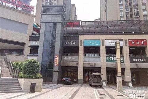 宠物店选址：重庆，70平