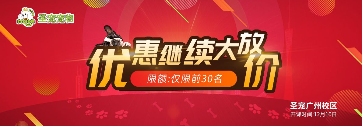 广州分校 优惠继续大放价