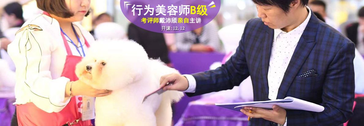行为美容师B级