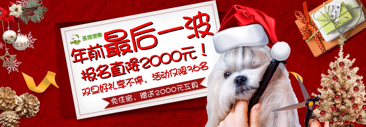 迎双旦，直降2000