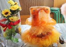 全能美容师创意课程